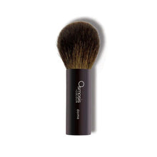  Osmosis Dome Brush